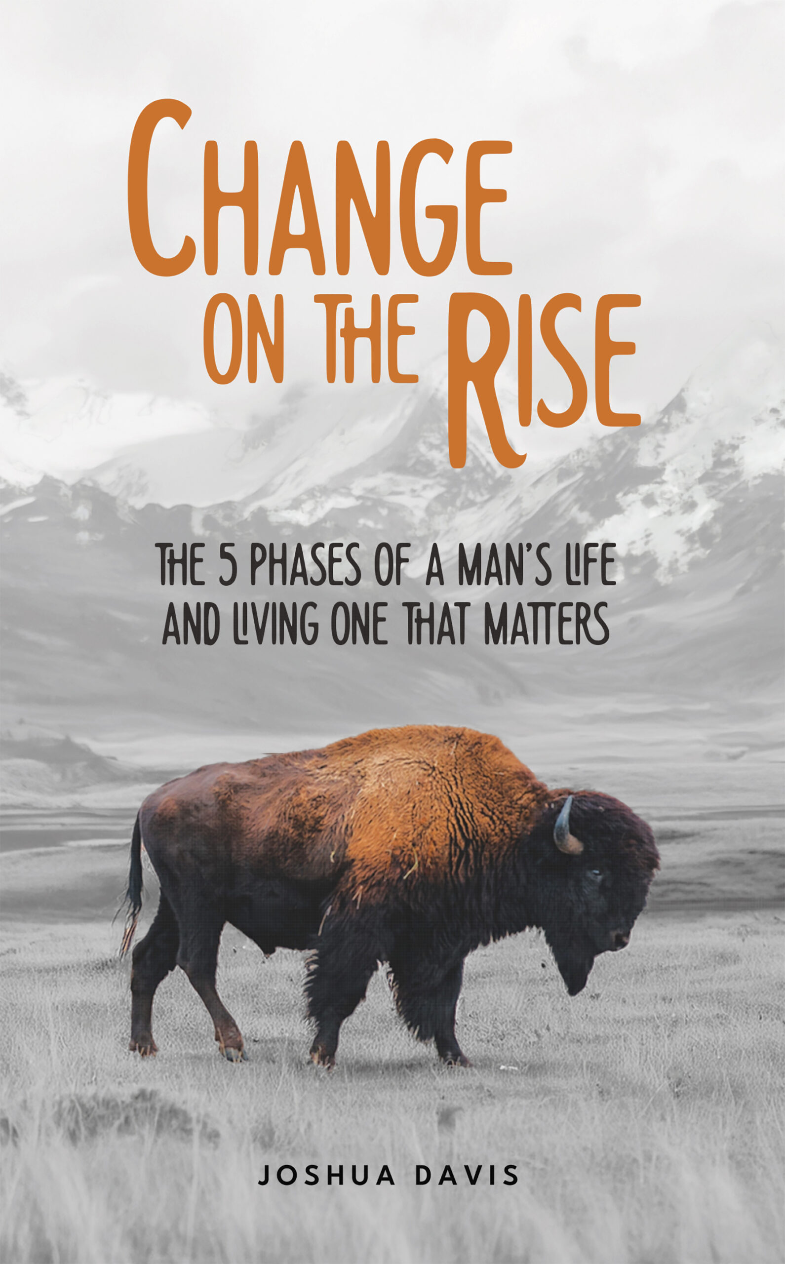 Change on the Rise by Josh Davis